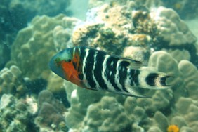 c0039073_16454448.jpg