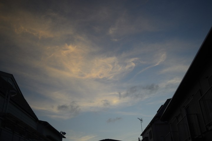 b0102780_6541255.jpg