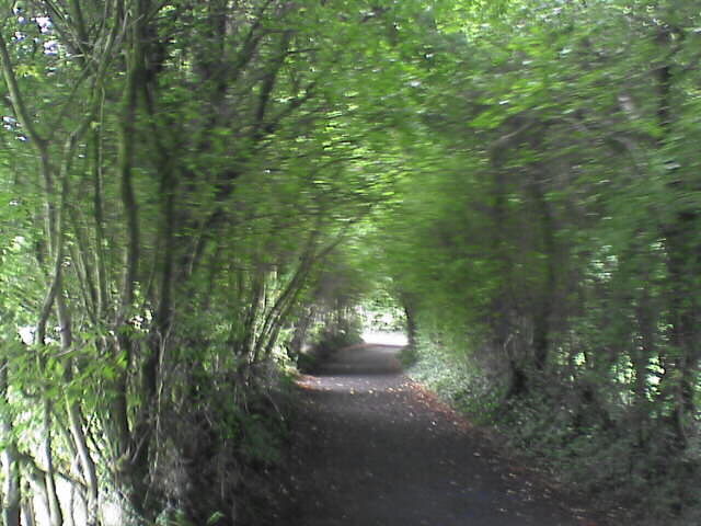 c0069380_20142055.jpg