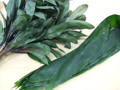 f0238081_202660.jpg