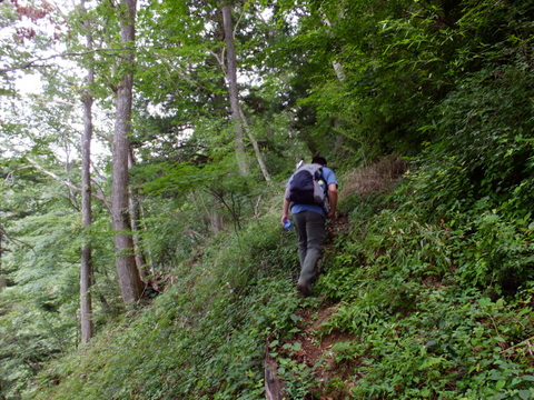 a0043982_20444374.jpg
