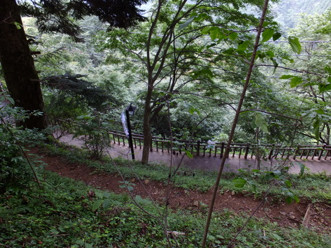 a0043982_20445230.jpg