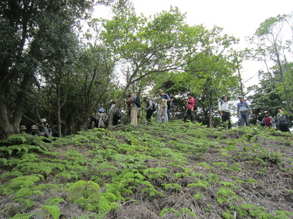 f0053885_20592453.jpg