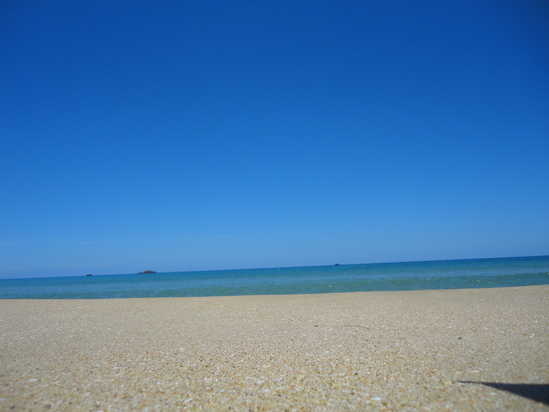 f0131491_1255392.jpg
