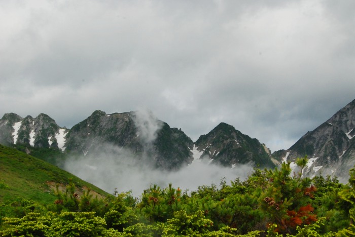 d0168292_11152518.jpg
