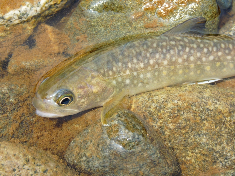 e0202393_20191853.jpg