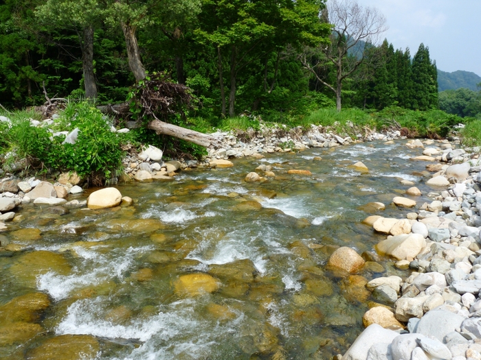 e0202393_2082086.jpg