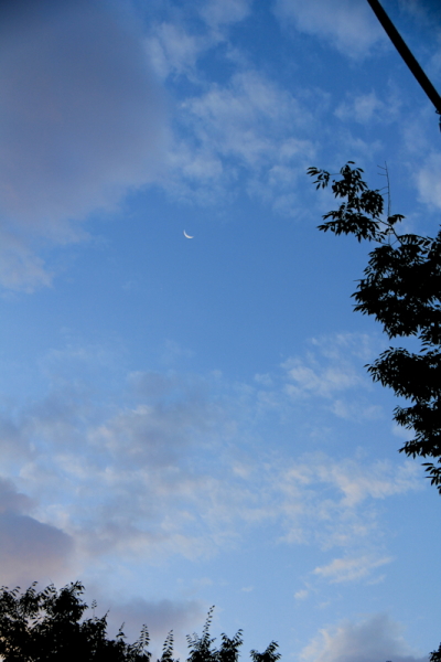 c0129498_19225389.jpg