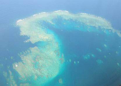 e0077899_16383845.jpg