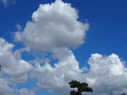 e0122100_1642946.jpg