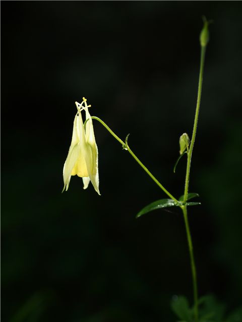 f0224100_5391819.jpg