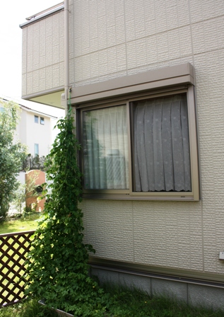 d0125208_1554529.jpg