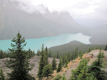 b0051109_12214210.jpg