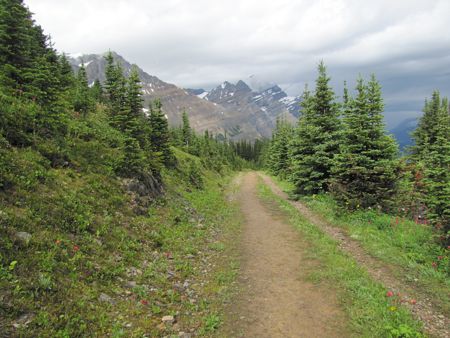 b0051109_12223349.jpg
