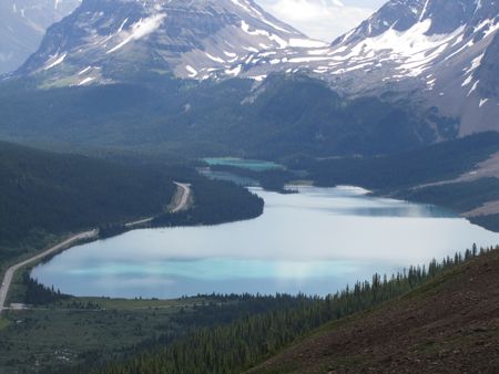 b0051109_12341776.jpg