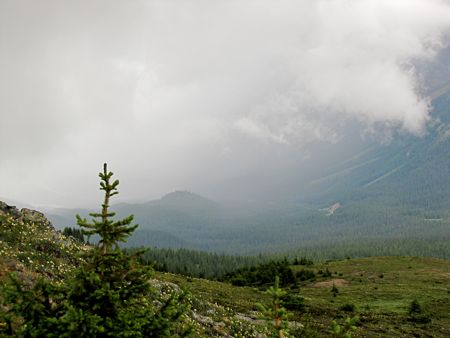 b0051109_12353620.jpg