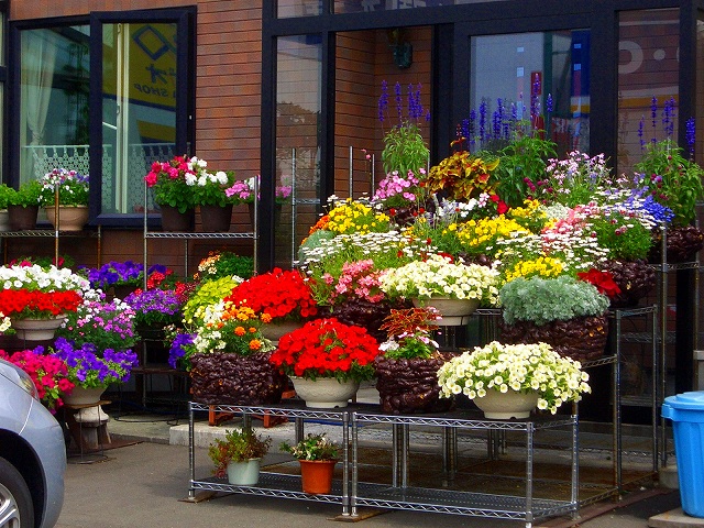 f0006309_13594781.jpg