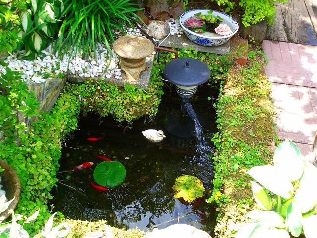 f0006309_1434962.jpg