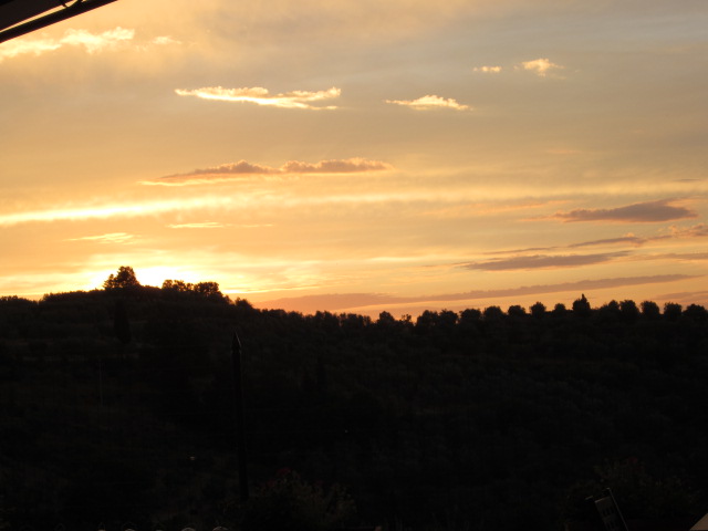 d0070113_2421253.jpg