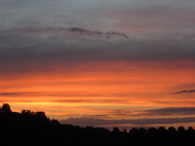 d0070113_2424750.jpg