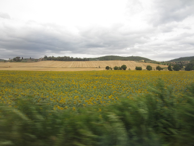 d0070113_2531138.jpg