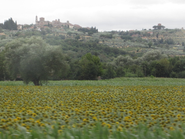 d0070113_2531871.jpg