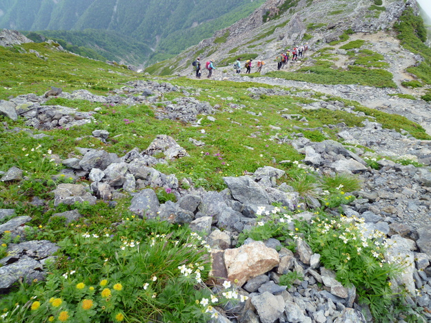 d0170615_1452282.jpg