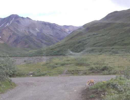 d0098316_2352176.jpg