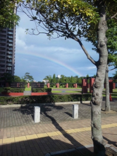 e0118719_10243773.jpg