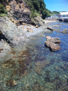 e0118719_10253433.jpg