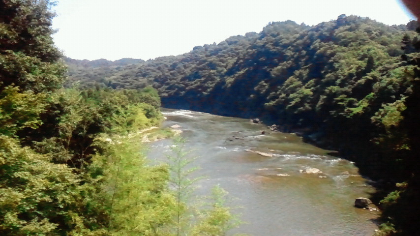 f0227120_138853.jpg