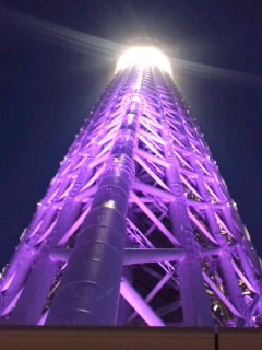 a0194522_222245100.jpg
