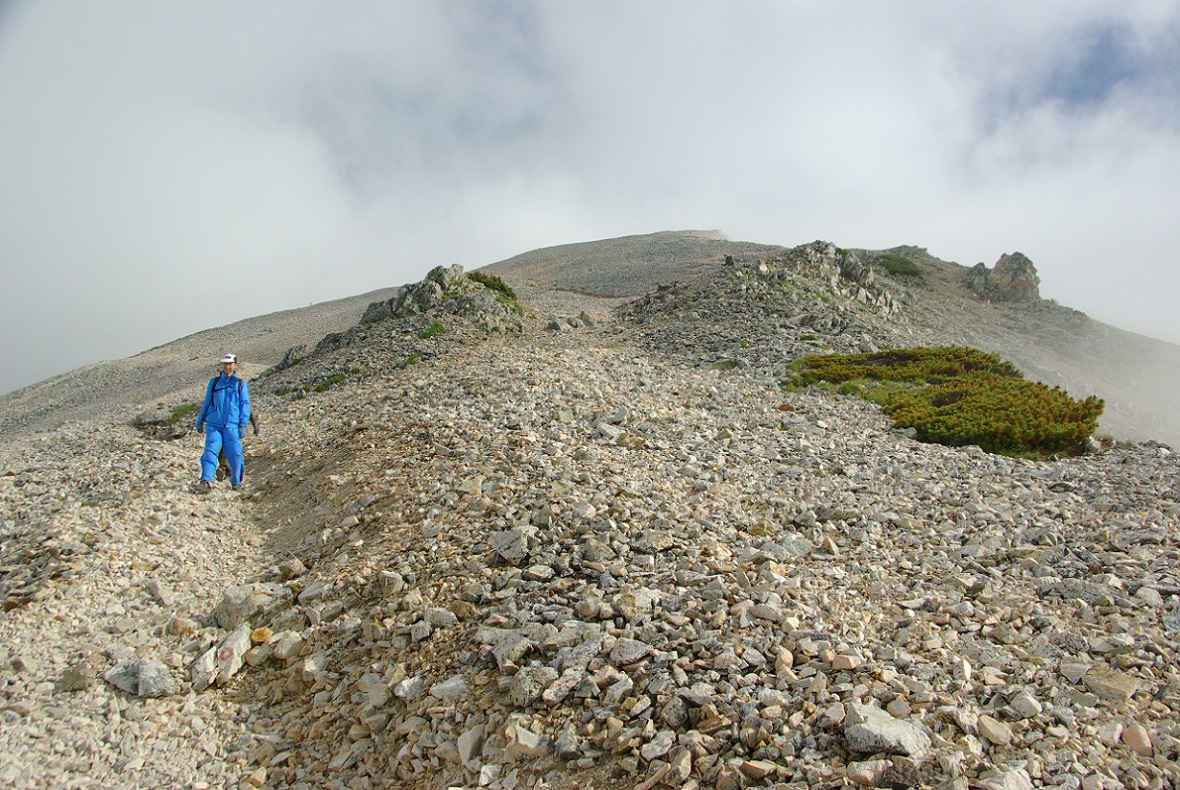 b0062024_21334790.jpg