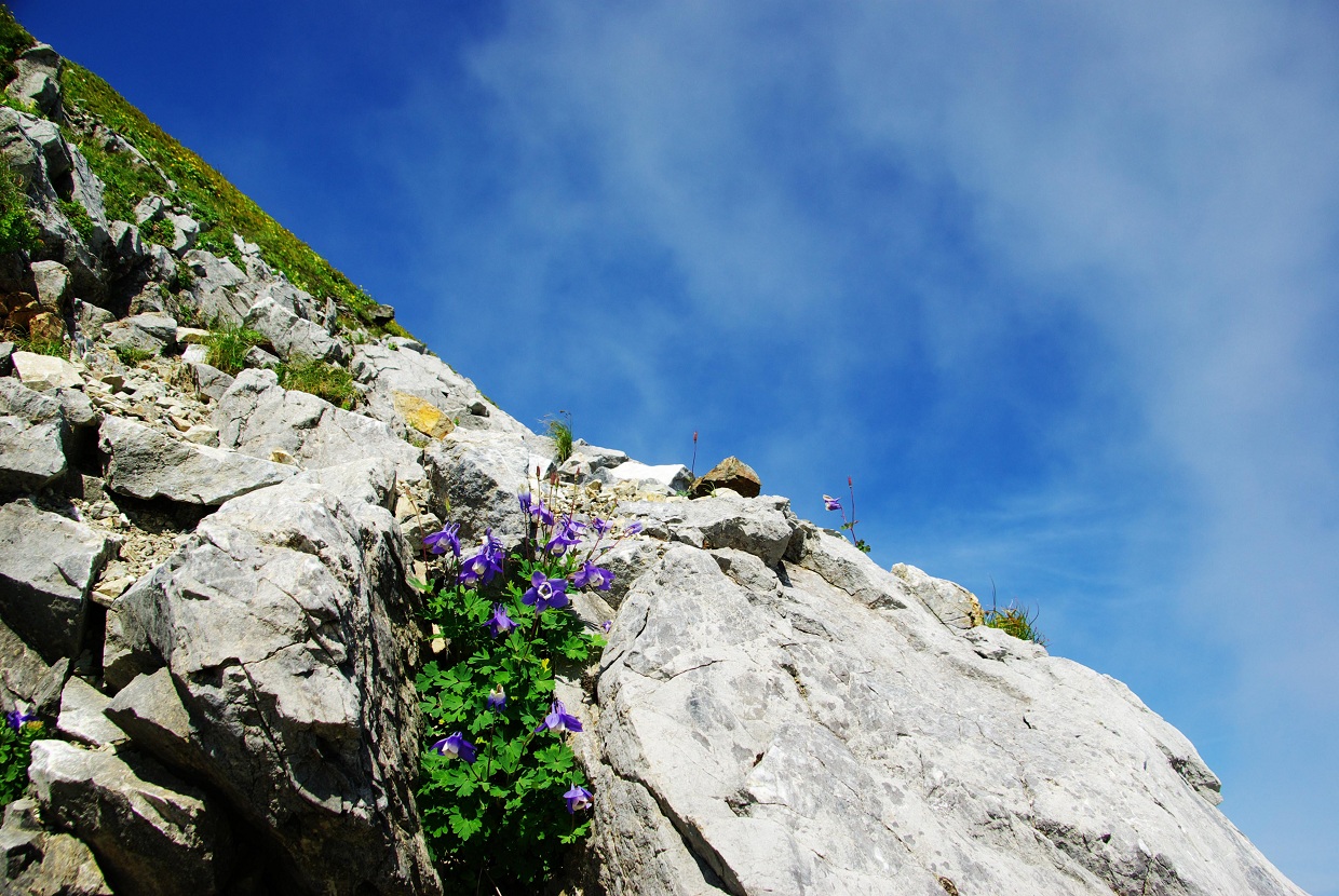 b0062024_21472324.jpg