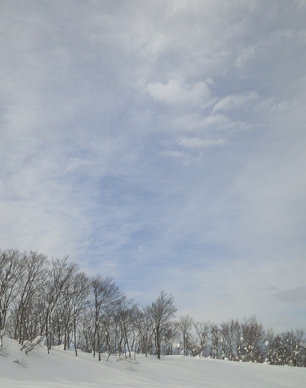 b0199924_1620592.jpg