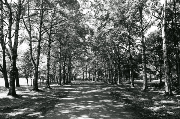 f0182924_185828.jpg