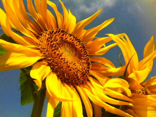 c0074025_235406.jpg