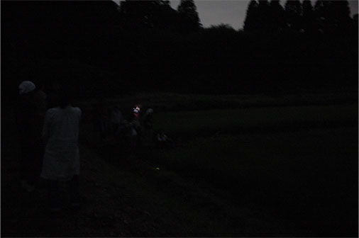c0201526_2158770.jpg