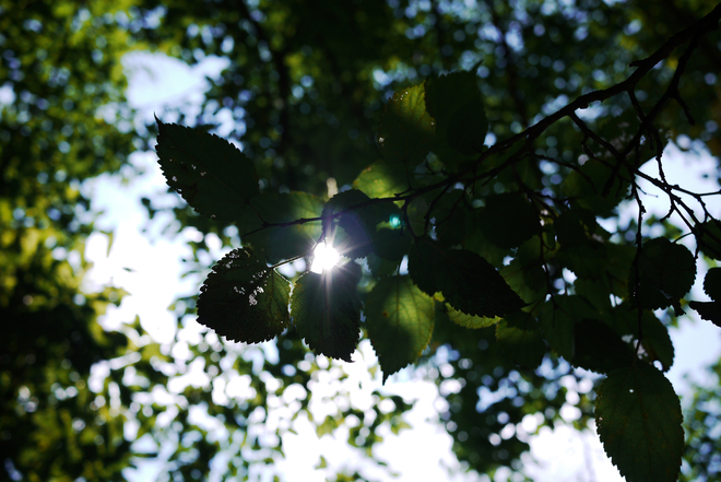 e0200926_9463841.jpg