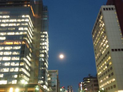 f0132230_134544.jpg