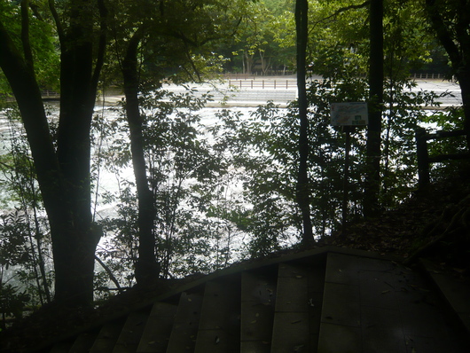 a0206332_1335681.jpg