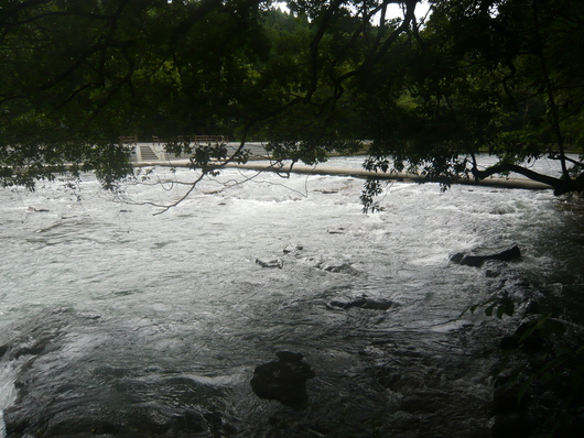 a0206332_13372581.jpg