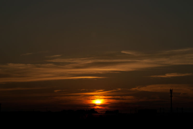 b0177233_5241352.jpg