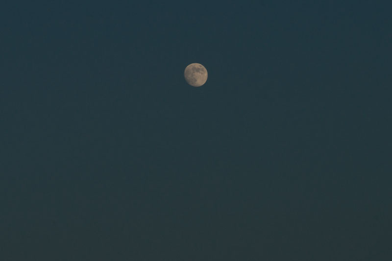 b0177233_5252533.jpg