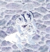 b0184437_2585845.jpg