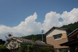 b0082242_839292.jpg