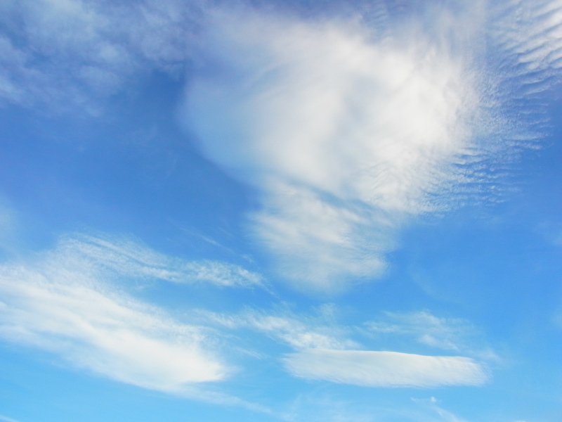 b0190242_1141230.jpg
