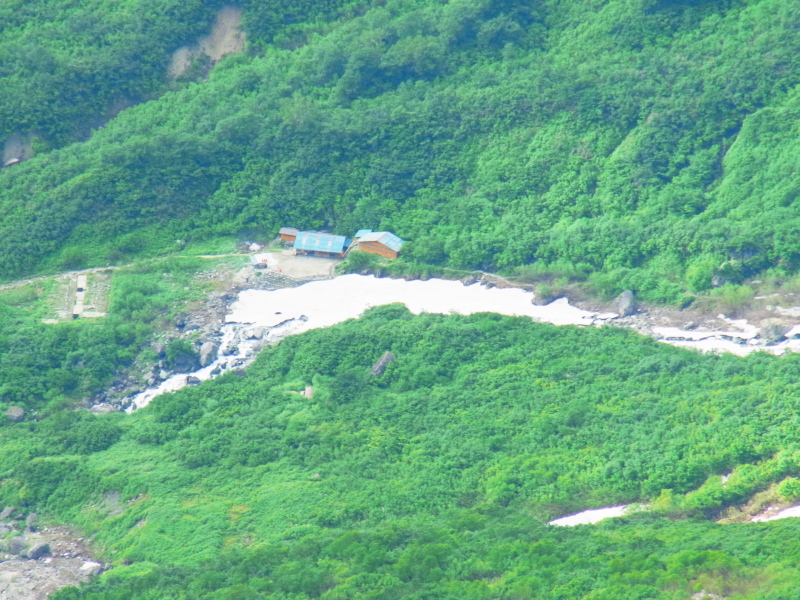 b0190242_123433.jpg