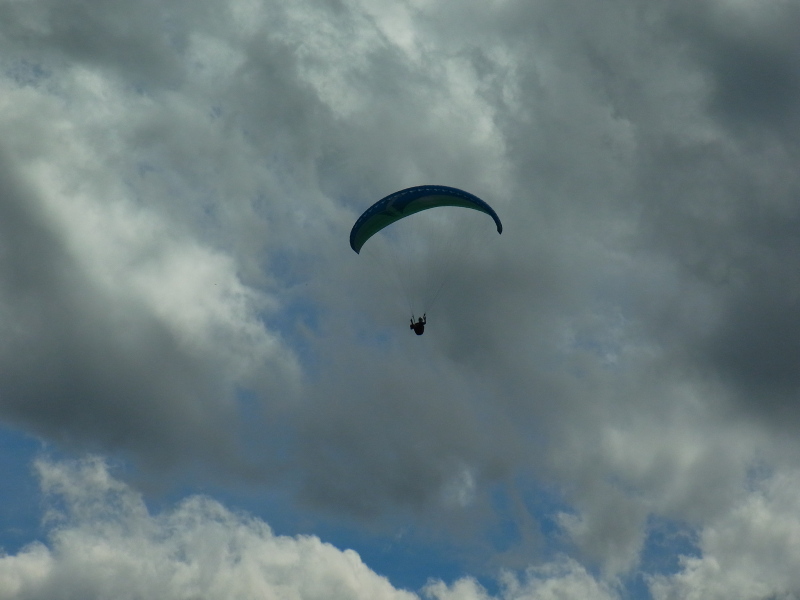 b0190242_137389.jpg