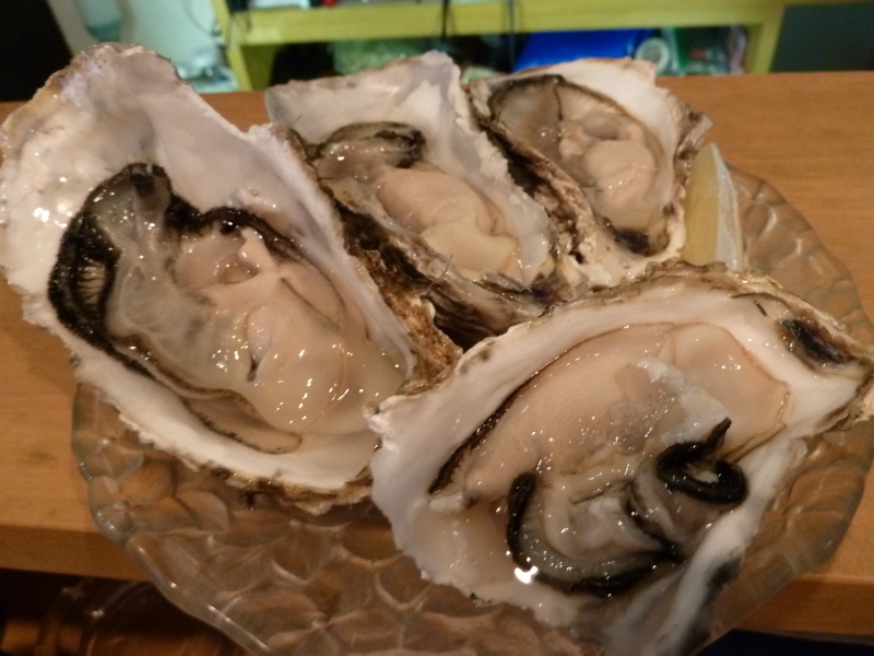 b0190242_154271.jpg